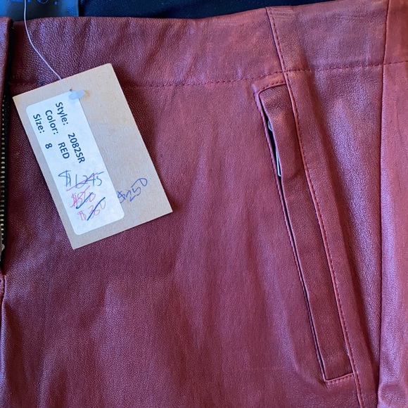 A.L.C. Stretch Raptor Leather Stefan Red / Black Pants Stripe Zipper Women's 8 - Picture 6 of 16